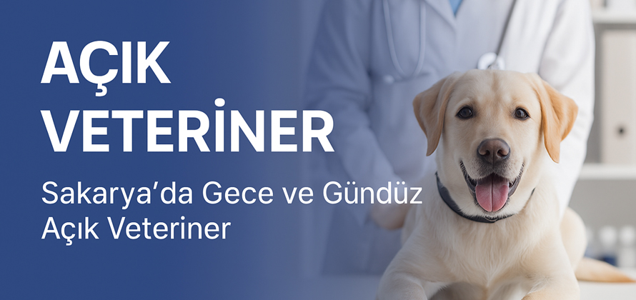 Açık Veteriner